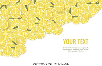 Fresh Lemon Slice Background with Text Space. Horizontal banner.