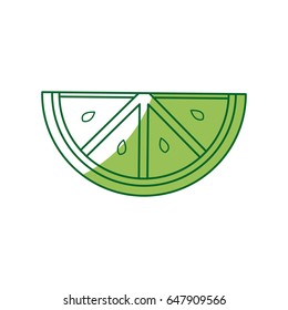 fresh lemon and slice, citrus ingredient drink vector illustration