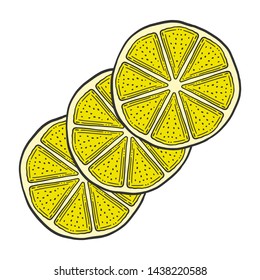 Fresh lemon slice, half of orange. Vector in doodle and sketch style. Isolated on white background
