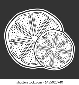 Fresh lemon slice, half of orange. Vector in doodle and sketch style. Isolated on dark background