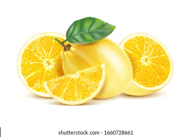 Fresh lemon with lemon slice in the middle isolated on white background. Realistic vector in 3D illustration.