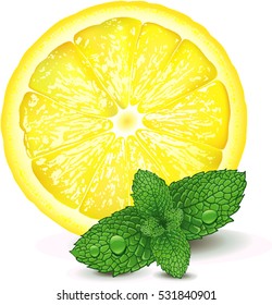 Fresh Lemon Slice With Mint Leaves