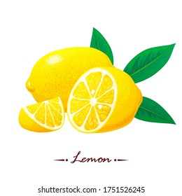 Fresh lemon, slices of lemon with leaves. Vector. Logo concept. Realistic Hand drawn vector illustration isolated on white background.