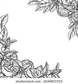 Fresh lemon slices and mint sprigs monochrome vector border painted by black inks. Template with copy space for text. Citrus fruit and melissa herbs illustration for cafe menu, summer party decor.