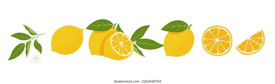 Ropa de limón fresca. Citrus, vitamina c. Ilustración vectorial, aislada en fondo blanco