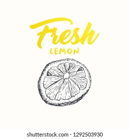 Fresh lemon vector banner template. Sketch fruit clipart. Sliced lemon engraving style drawing. Handwritten calligraphy, lettering. Isolated citrus color design element. Shop sign, store logo