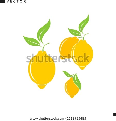 Fresh lemon vector. Citrus fruit icon. Isolated lemon with leaves on white background. Natural fruit sign. Vintage style illustration