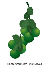 fresh lemon vector design