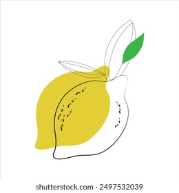 fresh lemon vector illustration, lemon day