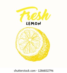 Fresh lemon vector illustration. Sketch fruit clipart. Handwritten lettering, calligraphy. Isolated yellow citrus color design element. Sliced lemon engraving style drawing. Shop sign, logo