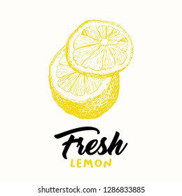 Fresh lemon vector illustration. Sketch fruit clipart. Handwritten lettering, calligraphy. Isolated yellow citrus color design element. Sliced lemon engraving style drawing. Shop sign, logo