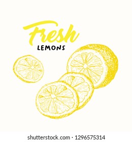 Fresh lemon vector illustration. Sketch fruit clipart. Handwritten lettering, calligraphy. Isolated yellow citrus color design element. Sliced lemon engraving style drawing. Shop sign, logo