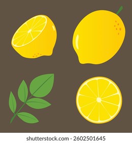 Fresh lemon vector illustration in various views