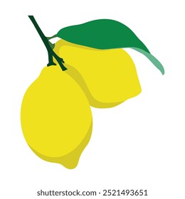 Fresh Lemon Vector Illustration for Vibrant Citrus Graphics