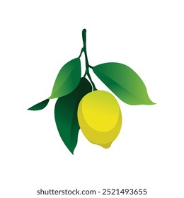 Frische Zitronen-Vektorgrafik für lebendige Citrus-Grafiken