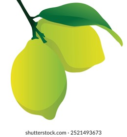 Ilustração de vetor de limão fresco para gráficos vibrantes de citrinos