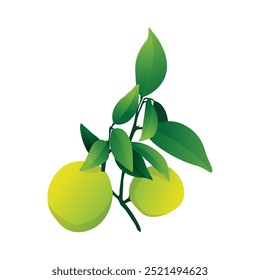 Fresh Lemon Vector Illustration for Vibrant Designs