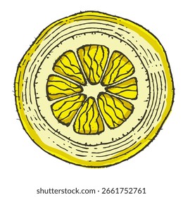 Ilustraciones vectoriales de limón frescas. Zumo amarillo cítrico alimentos naturales productos naturales saludables imágenes de Vector. Ilustración de limón de jugo fresco, saludable de cítricos de alimentos de frutas.