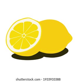 fresh lemon with white background, vector isolated