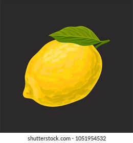 Fresh lemon, whole citrus fruit vector Illustration isolated on a black background.