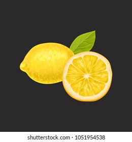 Fresh lemon, whole and cut in half sour citrus fruit vector Illustration isolated on a black background.