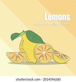 Fondo de limones frescos. Fondo superpuesto dibujado a mano. Vector de fondo de pantalla colorido. Patrón inmaculado con colección de frutas frescas. Ilustración decorativa, buena para imprimir