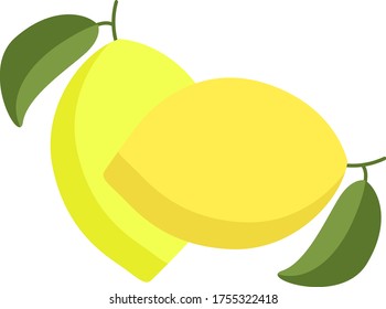 Fresh lemons, illustration, vector on white background
