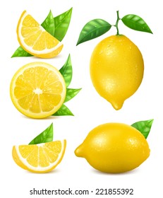 Fresh lemons with leaves. Collection of different vector illustration of lemon.