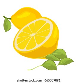 Fresh lemons with leaves isolated on white background
