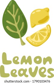Fresh lemons with leaves, lemon slices. Vector food clipart illustration. Cute culinary herb icon. Summer exotic and tropic idea. Cartoon icon for menu design, packaging, cooking book, web design.