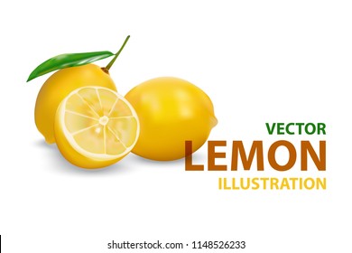 Fresh lemons with leaves on white background. Vector illustration.