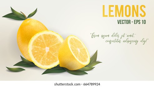 Fresh lemons with leaves on white background. Realistic fruit banner.