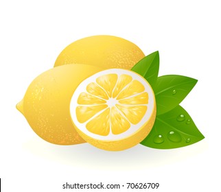 Fresh lemons with leaves. Realistic vector illustration