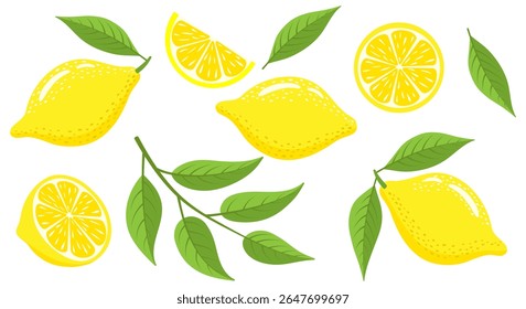 Fresh lemons with leaves set. Ripe lemon slices and whole lemon isolated on white background. Vector illustration.