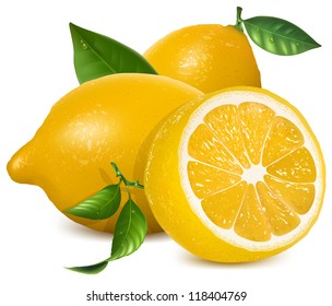 Fresh lemons with leaves. Vector illustration of lemon.