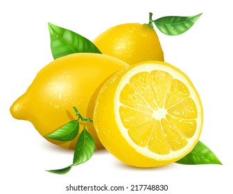 Fresh lemons with leaves. Vector illustration.