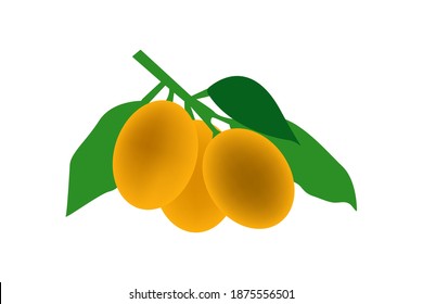 Fresh lemons with leaves vector isolated on white background creative design for backgrounds, posters, menu cover illustration.
