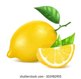 Fresh lemons with leaves and water drops. Vector illustration.