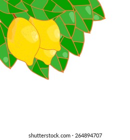 Fresh lemons with leaves. White  background. Isolated. Vector illustrations.
