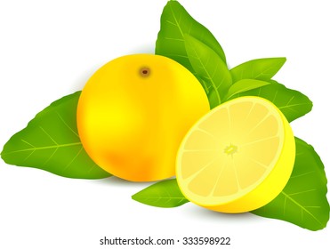 Fresh lemons with leaves white background