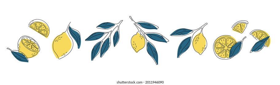 Fresh lemons print. Hand drawn line lemon illustration. Minimalism lemon.
