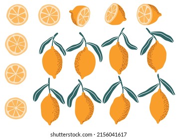 Fresh lemons print. Hand drawn line lemon illustration. Minimalism lemon.