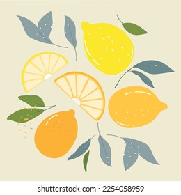 Fresh lemons print. Hand drawn lemon illustration. Minimalism lemon. Poster with citrus fruits.