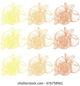 Fresh lemons set, bright background with citruses.Vector graphic illustration for design and decoration