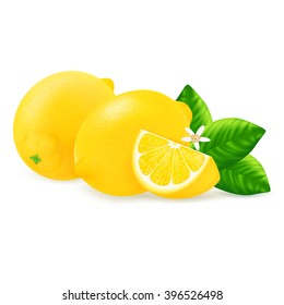 Fresh lemons and slices with leaf, flower isolated on white background. Realistic vector illustration.