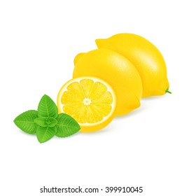 Fresh lemons and slices with mint isolated on white background. Realistic vector illustration.