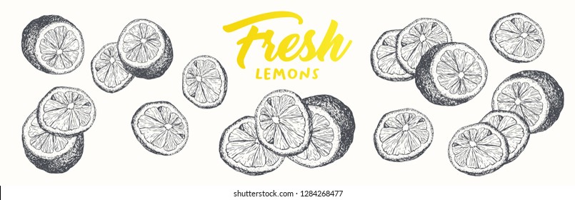 Fresh lemons vector banner template. Sketch fruit clipart. Sliced lemons engraving style drawing. Handwritten calligraphy, lettering. Isolated set citrus color design element. Shop sign, store logo