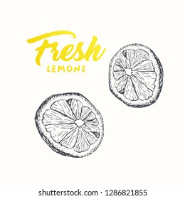 Fresh lemons vector banner template. Sketch fruit clipart. Sliced lemons engraving style drawing. Handwritten calligraphy, lettering. Isolated yellow citrus color design element. Shop sign, store logo