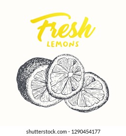Fresh lemons vector banner template. Sketch fruit clipart. Sliced lemons engraving style drawing. Handwritten calligraphy, lettering. Isolated yellow citrus color design element. Shop sign, store logo