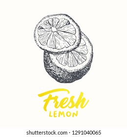 Fresh lemons vector banner template. Sketch fruit clipart. Sliced lemons engraving style drawing. Handwritten calligraphy, lettering. Isolated yellow citrus color design element. Shop sign, store logo